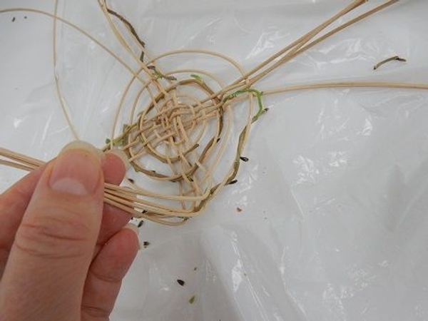 Fold the strands pointing out up Fold the strands pointing out up