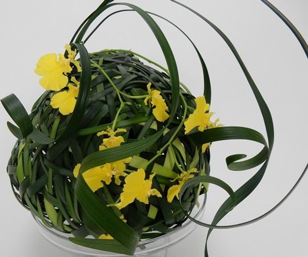 Grass sphere with Oncidium orchids Grass sphere with Oncidium orchids