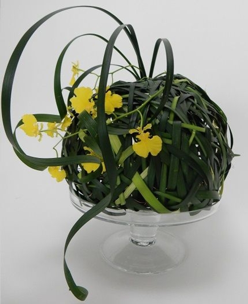 Oncidium orchid sphere Oncidium orchid sphere