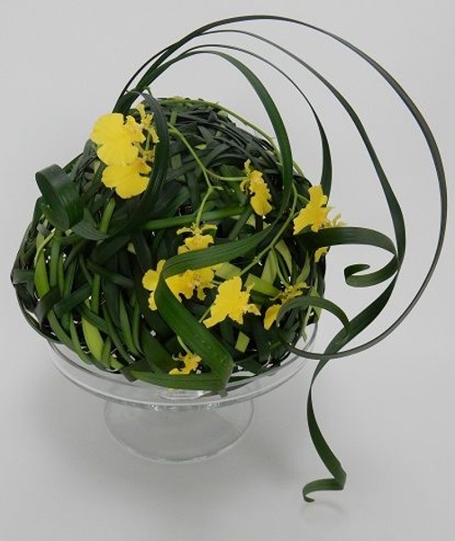 Oncidium orchids in a grass armature Oncidium orchids in a grass armature