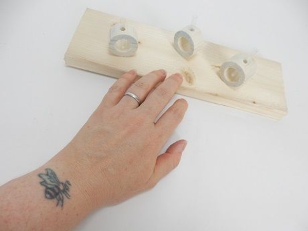 Place the Dowel slices on a display tray Place the Dowel slices on a display tray