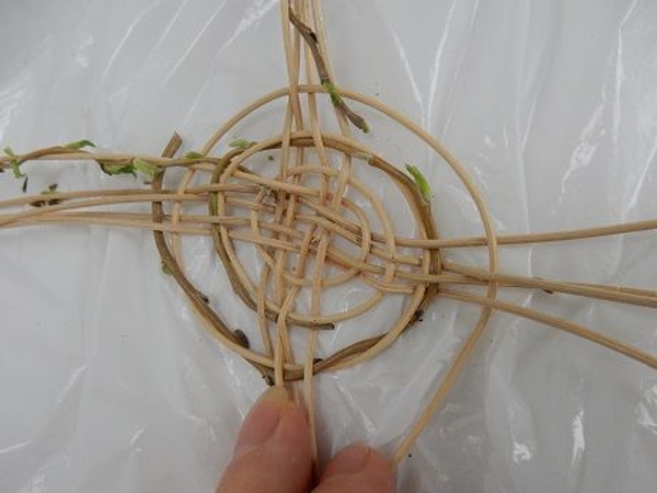 Randomly add willow stems to the weave. Randomly add willow stems to the weave.
