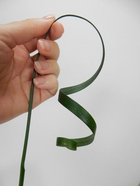 To a ringlet curl To a ringlet curl