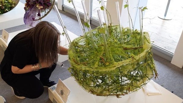 Chelsea Flower Show Limelight Design Chelsea Flower Show Limelight Design