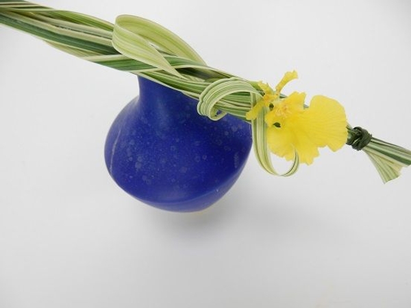 Oncidium orchid Oncidium orchid