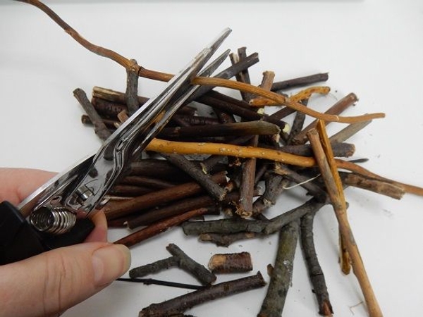 Cut a lot of twigs into smaller snippets Cut a lot of twigs into smaller snippets