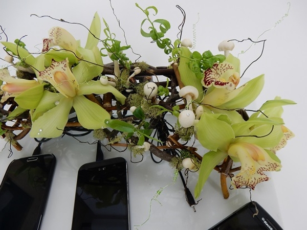 Cymbidium orchids, moss and mushroom on twigs Cymbidium orchids, moss and mushroom on twigs