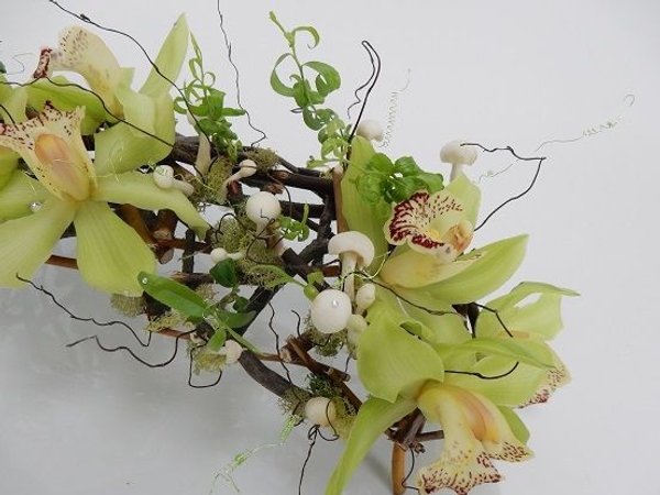Cymbidium orchids and mushroom on twigs Cymbidium orchids and mushroom on twigs