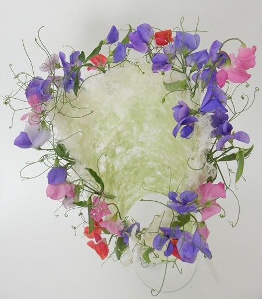 Lathyrus and paper design