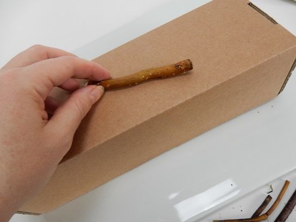 Place the first twig on the box Place the first twig on the box