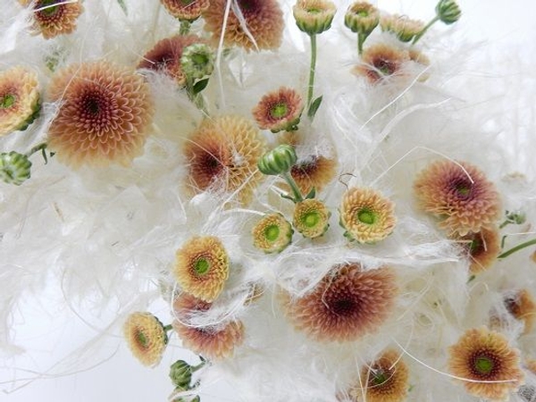 Chrysanthemum and Washi Chrysanthemum and Washi