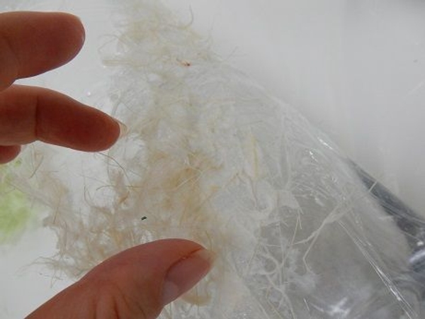 Dip the Washi paper in the glue and place it on the vase Dip the Washi paper in the glue and place it on the vase