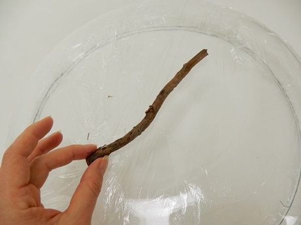 Place the first twig on the bowl Place the first twig on the bowl