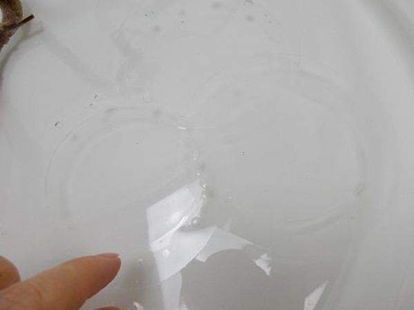 Place the next ring next to the first allowing the rings to overlap. Place the next ring next to the first allowing the rings to overlap.