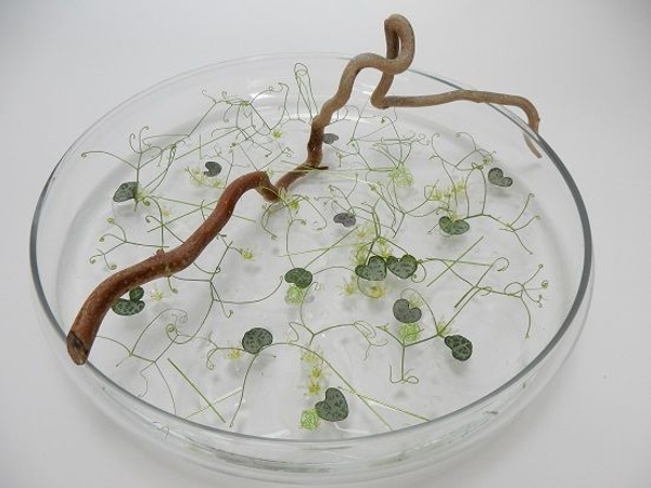 So Fine floral art design So Fine floral art design