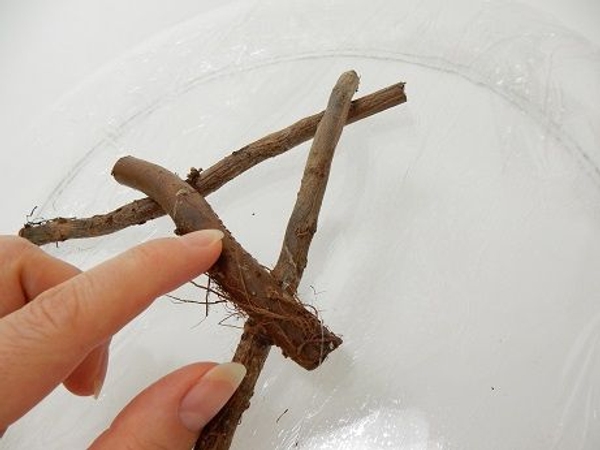 Start gluing twigs to twigs Start gluing twigs to twigs