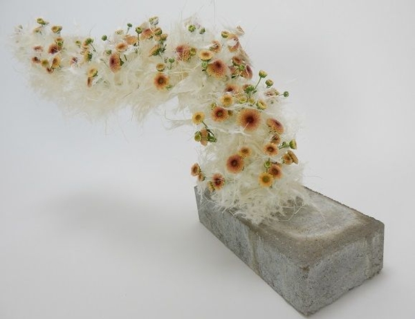 Washi and chysanthemum catterpillar Washi and chysanthemum catterpillar