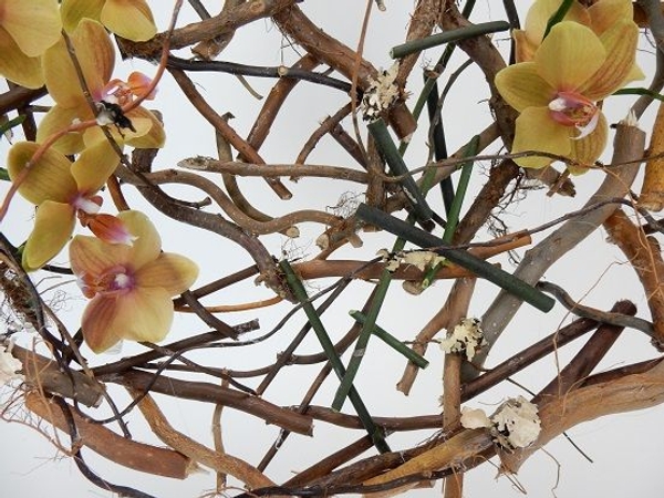Willow twig disk Willow twig disk