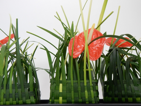 Anthurium and grass baskets Anthurium and grass baskets