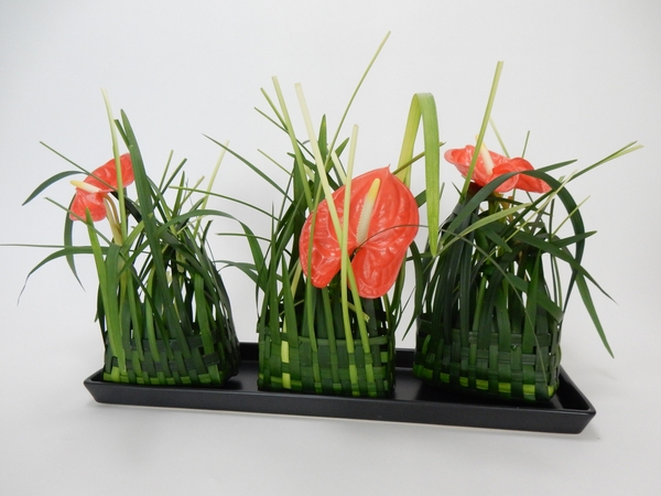 Anthurium and grass design Anthurium and grass design