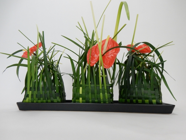 Anthurium basket floral art design Anthurium basket floral art design
