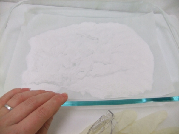 Bake the Baking Soda Bake the Baking Soda