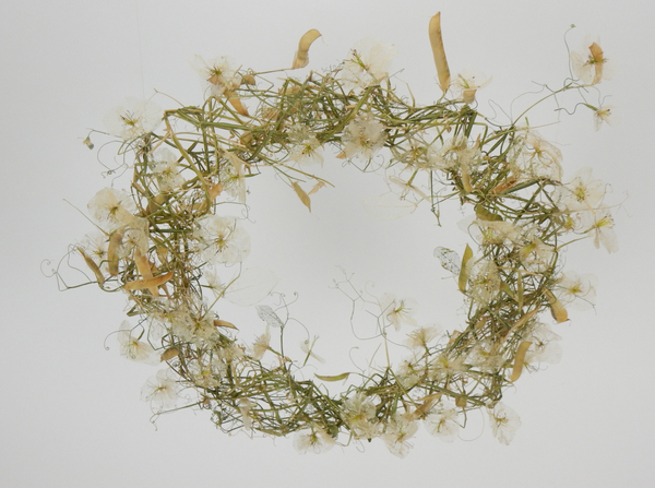 Dried Lathyrus and hydrangea blossom wreath