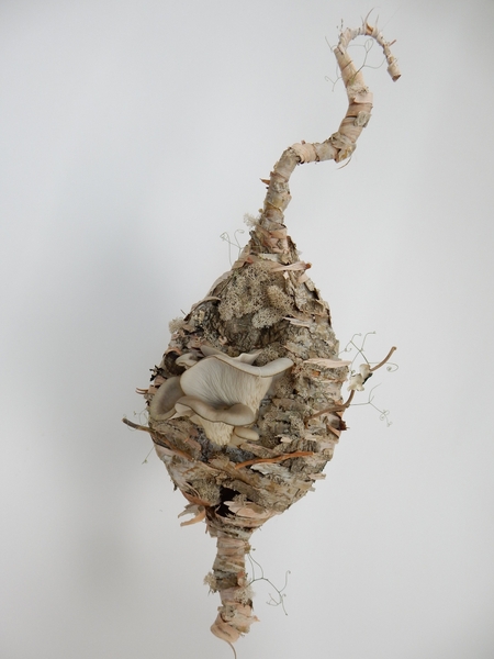 Growth Medium floral art design Growth Medium floral art design