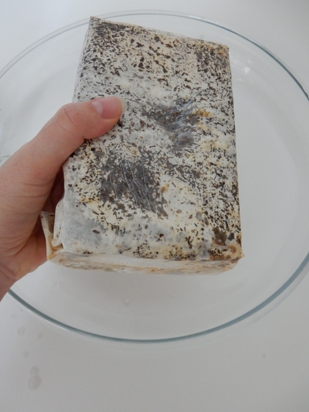 Remove the block from the cardboard and soak it in water Remove the block from the cardboard and soak it in water