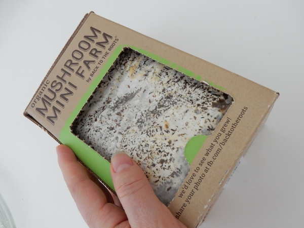 Remove the cardboard front Remove the cardboard front