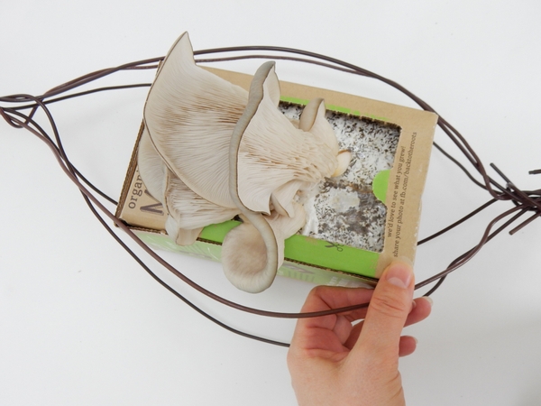 Shape the middle part of the wire so that the kit box fit snugly Shape the middle part of the wire so that the kit box fit snugly
