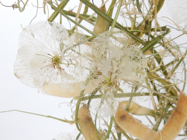 Skeleton blossoms