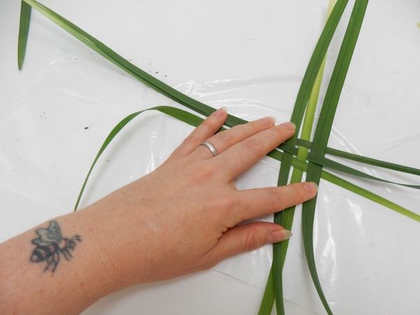 Start a basic weaving pattern Start a basic weaving pattern