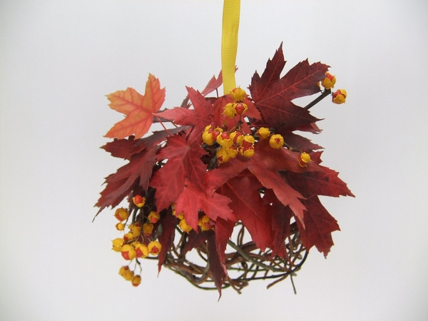 Autumn foliage Autumn foliage