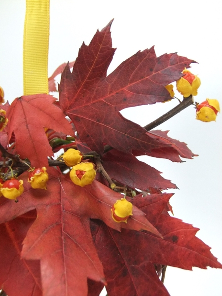 Dried Bittersweet berries and fall leaves Dried Bittersweet berries and fall leaves