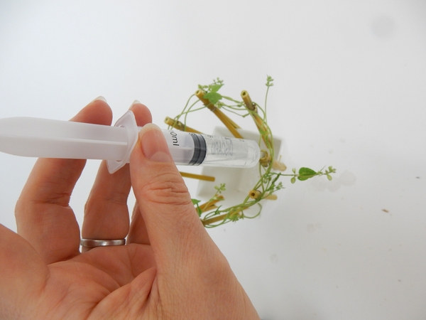 Fill the cavity with water using a syringe Fill the cavity with water using a syringe