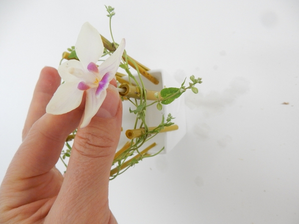 Fit the flower stem into the water filled cavity Fit the flower stem into the water filled cavity