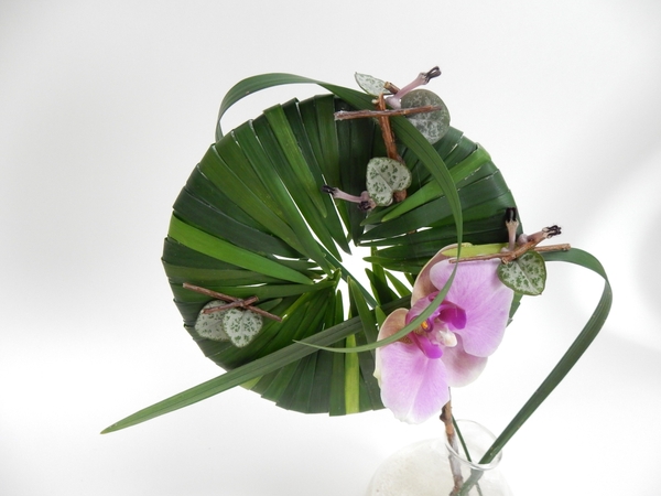 Fold grass over a disk to create an armature Fold grass over a disk to create an armature
