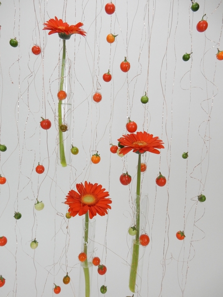 Gerbera Daisy screen design Gerbera Daisy screen design