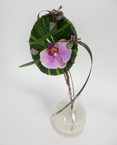 Grass armature for a Phalaenopsis orchid Grass armature for a Phalaenopsis orchid
