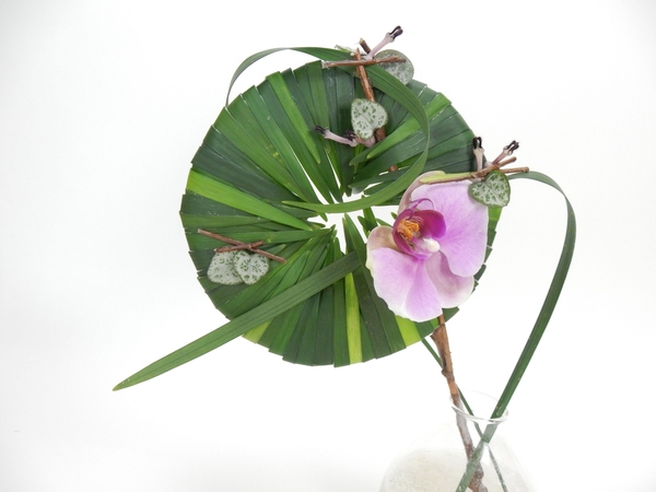 Grass disk armature Grass disk armature