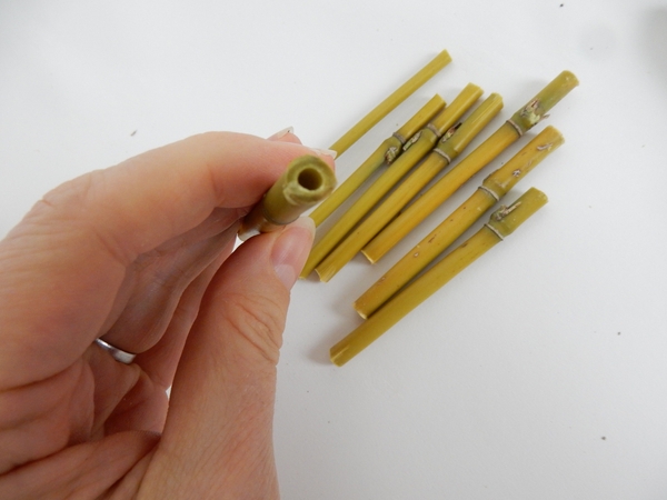 This creates a small cavity for the miniature orchid stem to fit in This creates a small cavity for the miniature orchid stem to fit in
