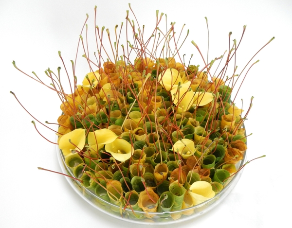 Calla lilies for autumn designs Calla lilies for autumn designs