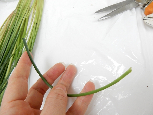 Carefully manipulate a blade of grass to curve. Carefully manipulate a blade of grass to curve.