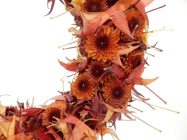 Chrysanthemum and autumn leaf wreath Chrysanthemum and autumn leaf wreath