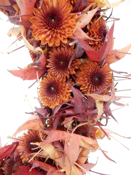 Chrysanthemum wreath Chrysanthemum wreath