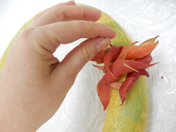 Continue adding leaves Continue adding leaves