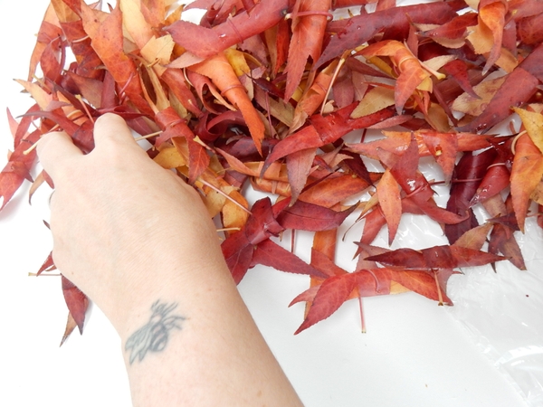Continue rolling leaves to design with Continue rolling leaves to design with