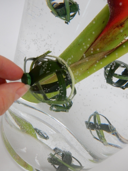 Cover the partner magnet with floral tape to make it less visible on the outside of the vase Cover the partner magnet with floral tape to make it less visible on the outside of the vase