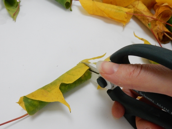 Cut the leaf so that it stands flat in the water Cut the leaf so that it stands flat in the water